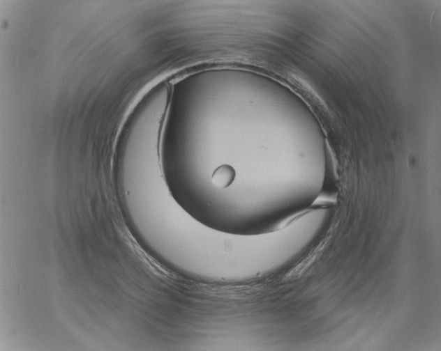 X0000061730932200512231431