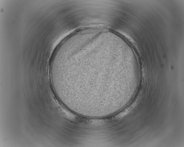 X0000061730933200512231431