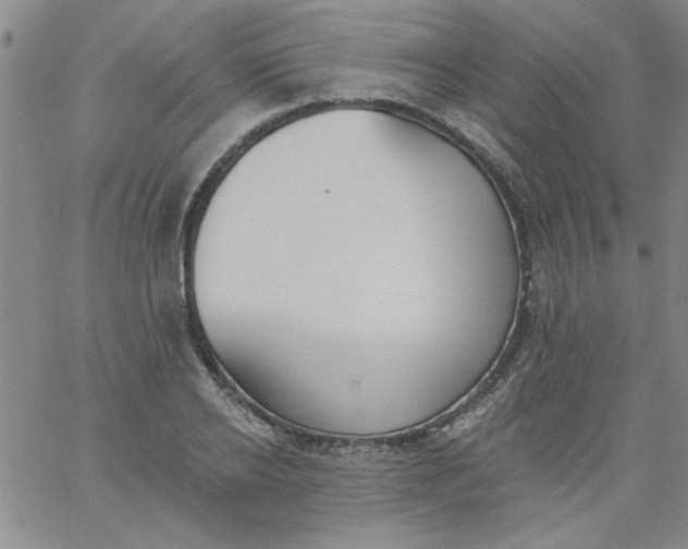 X0000061730934200512231431