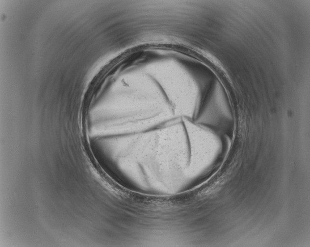 X0000061730935200512231431