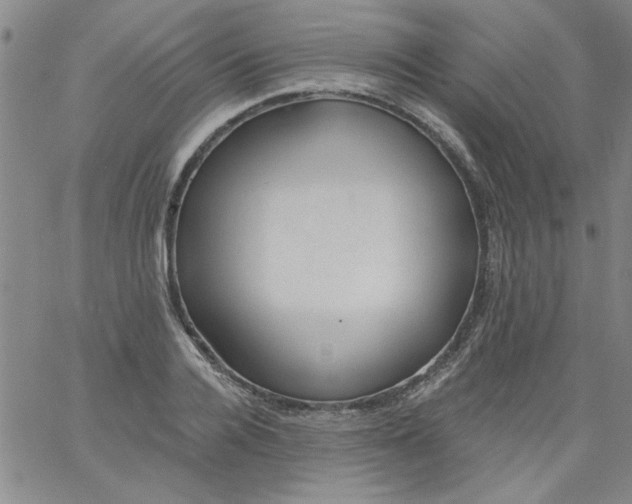 X0000061730936200512231431