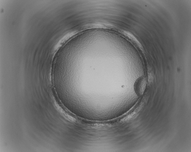 X0000061730938200512231431