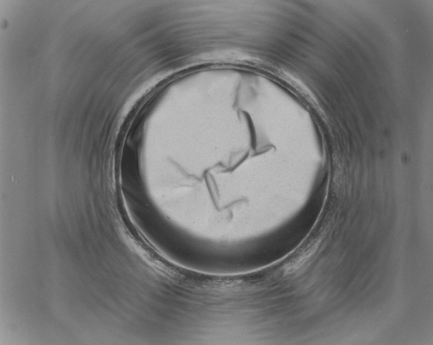 X0000061730939200512231431