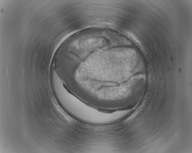 X0000061730940200512231431