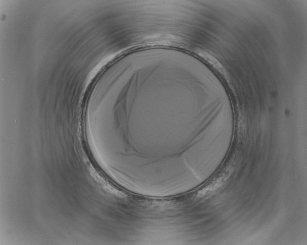 X0000061730941200512231431