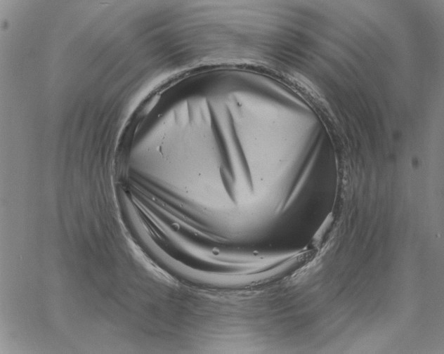 X0000061730942200512231431