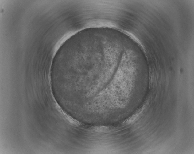 X0000061730943200512231431