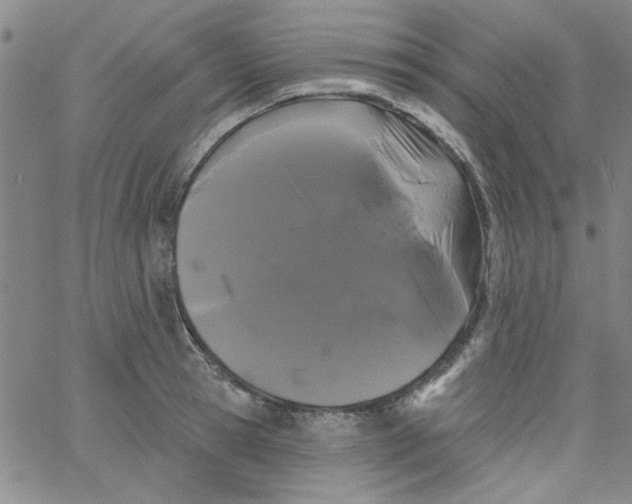 X0000061730945200512231431