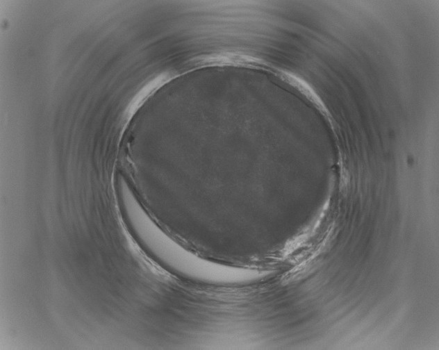 X0000061730946200512231431