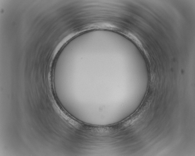 X0000061730947200512231431