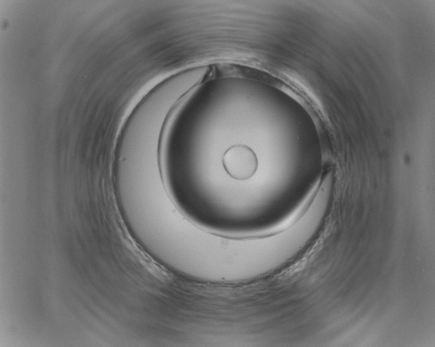 X0000061730948200512231431