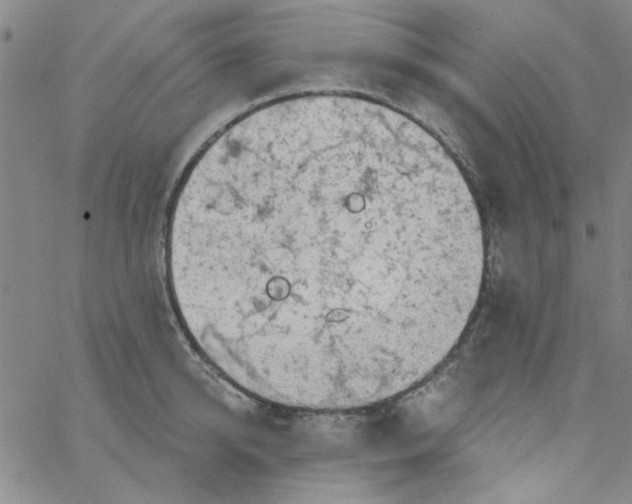 X0000061730950200512231431