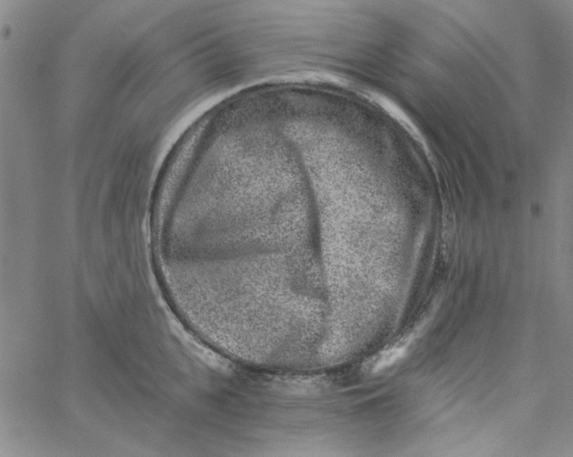 X0000061730951200512231431