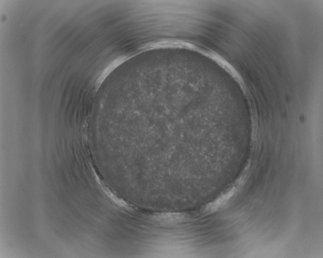 X0000061730953200512231431