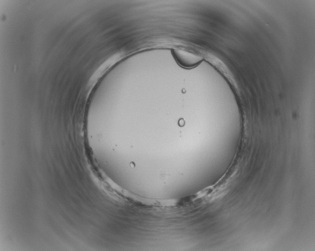 X0000061730954200512231431