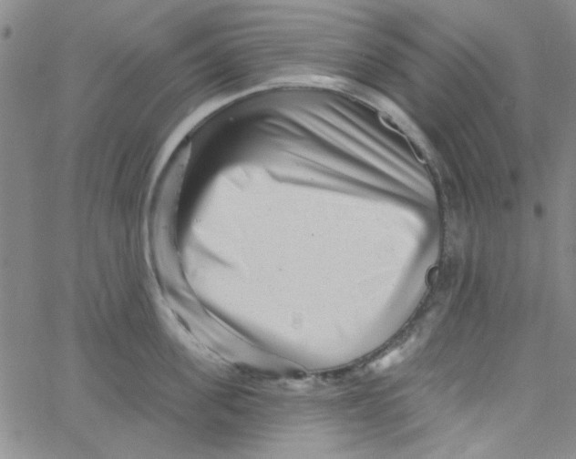 X0000061730955200512231431