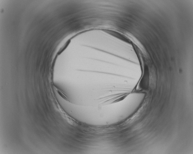 X0000061730956200512231431