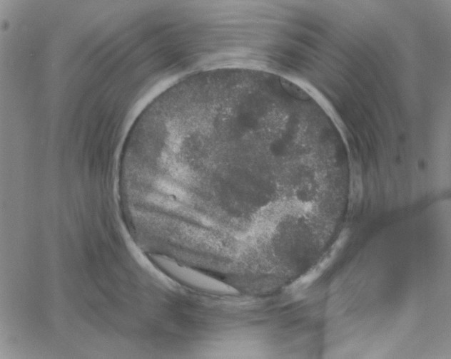 X0000061730957200512231431