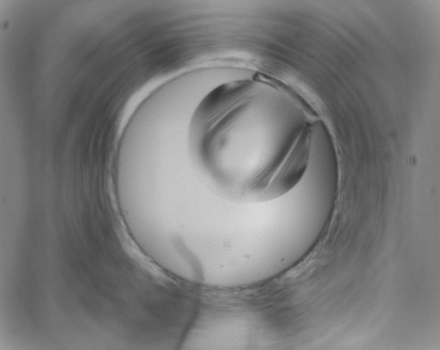 X0000061730960200512231431