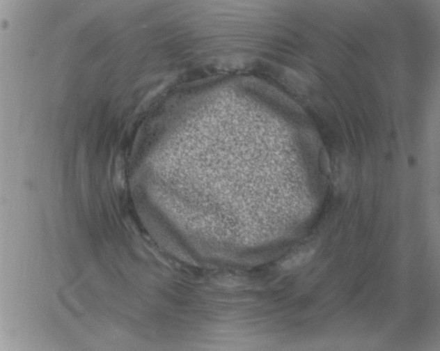 X0000061730962200512231430