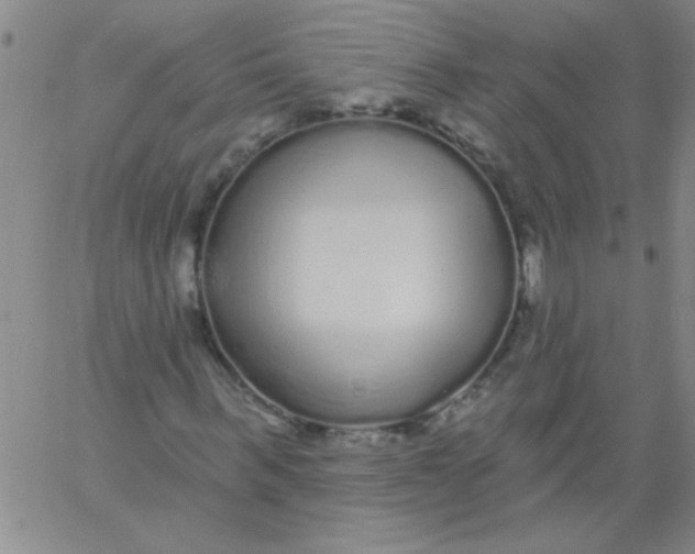 X0000061730963200512231430