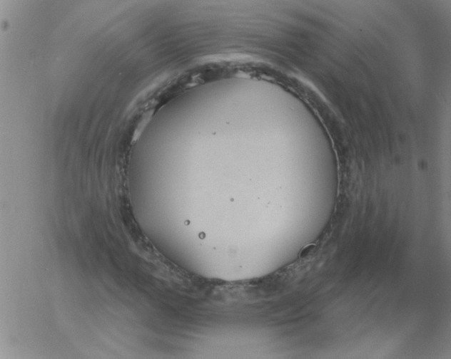 X0000061730967200512231430