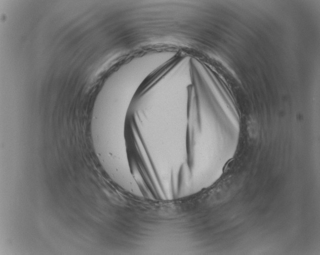 X0000061730968200512231430