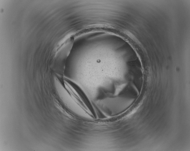 X0000061730969200512231430