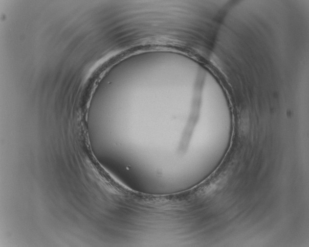 X0000061730971200512231430