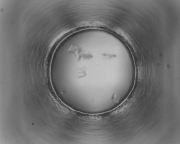 X0000061730975200512231430