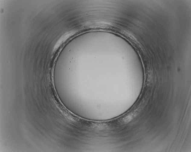 X0000061730978200512231430