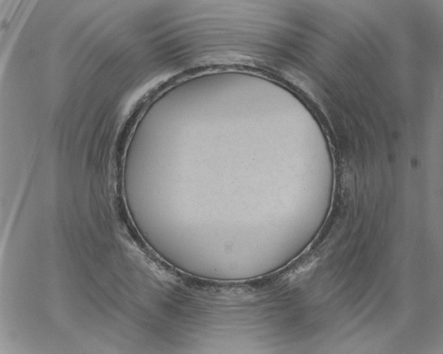 X0000061730979200512231430