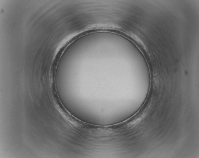 X0000061730981200512231430