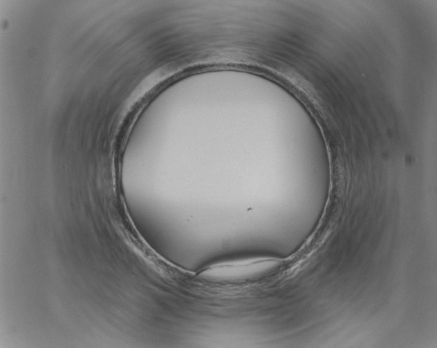 X0000061730982200512231430