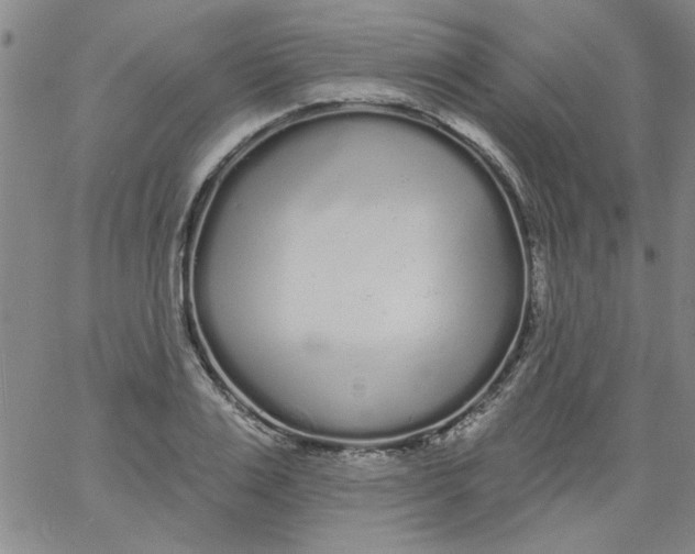 X0000061730983200512231430