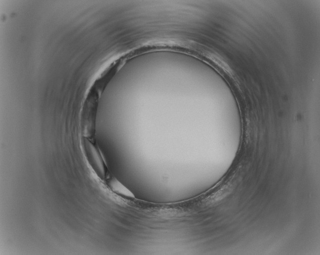 X0000061730984200512231430