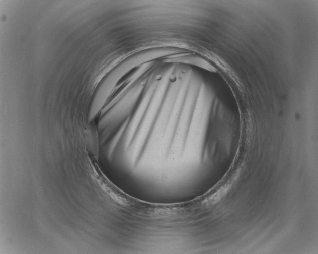 X0000061730985200512231430