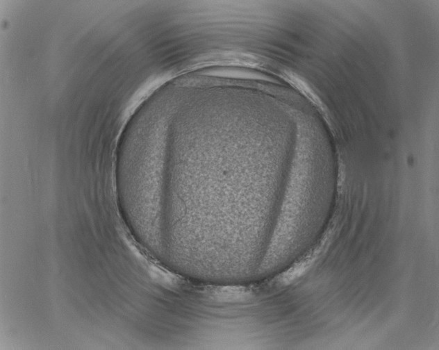 X0000061730986200512231430