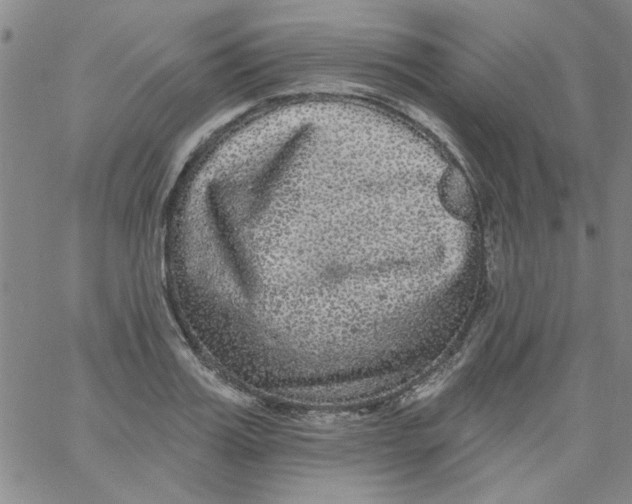 X0000061730987200512231430