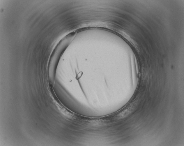 X0000061730988200512231430