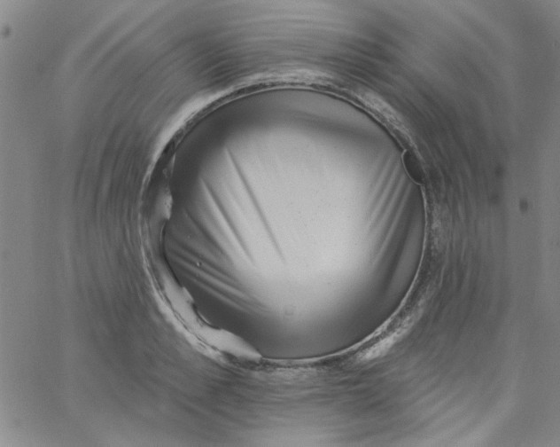 X0000061730989200512231430