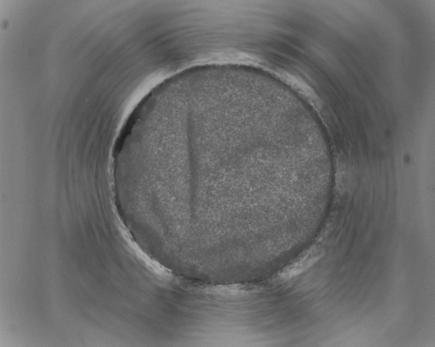 X0000061730990200512231430