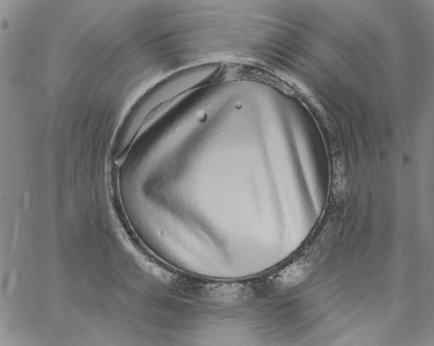 X0000061730991200512231430