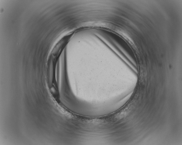 X0000061730992200512231430