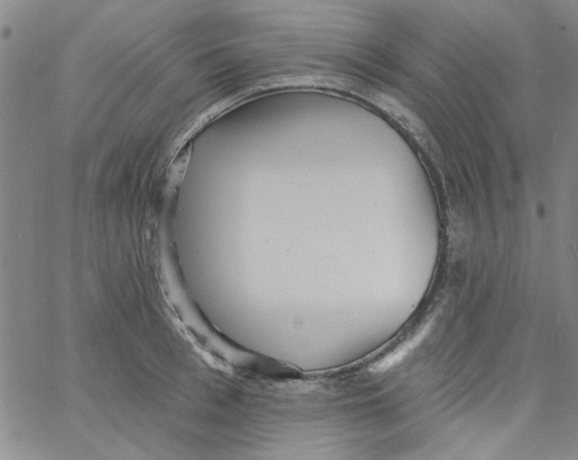 X0000061730993200512231430