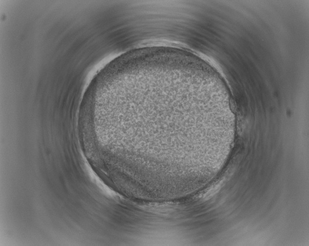 X0000061730995200512231430