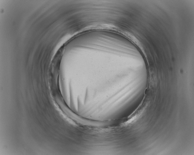 X0000061730997200512231430