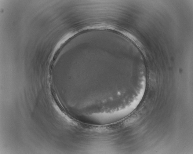 X0000061730998200512231430