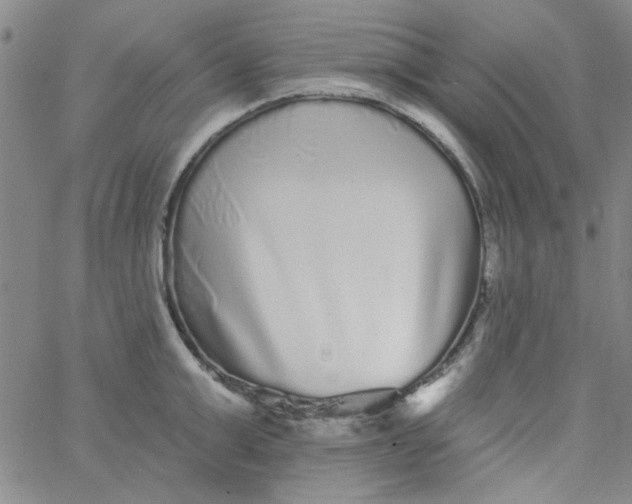 X0000061730999200512231430