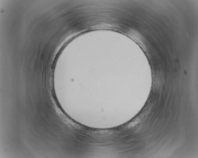 X0000061731000200512231430